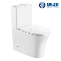 YS22294P2 2-dielna keramická toaleta Rimless, umývacia toaleta so sifónom P;